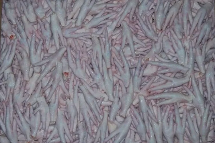 Kanatlı sektörü, Çin’e tavuk ayağı iznini bekliyor