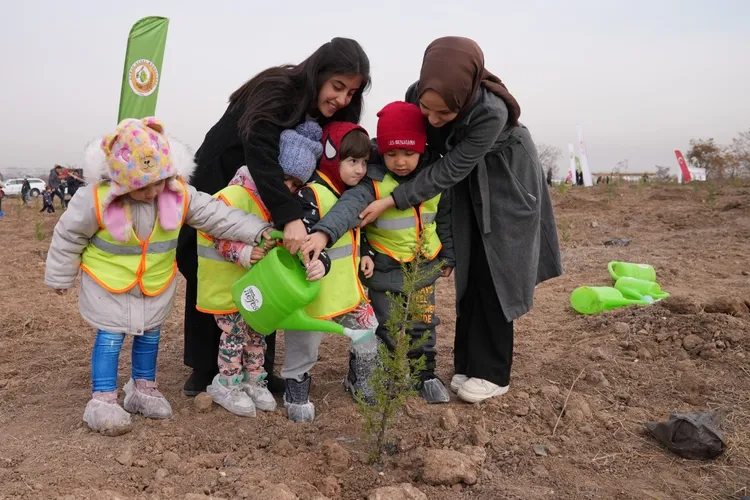 Milli Ağaçlandırma için hazırlıklar tamam