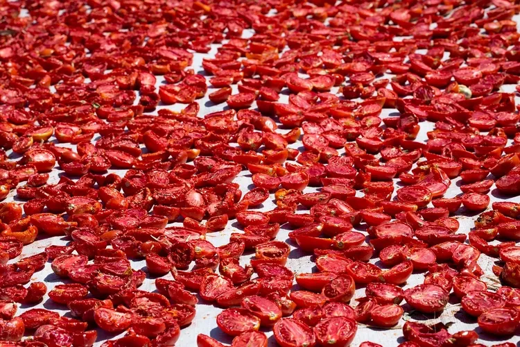 Şifa deposu kuru domates ihracatta dünya ikincisi